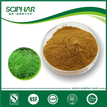 Horsetail extract