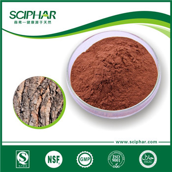 Pine Bark extract 